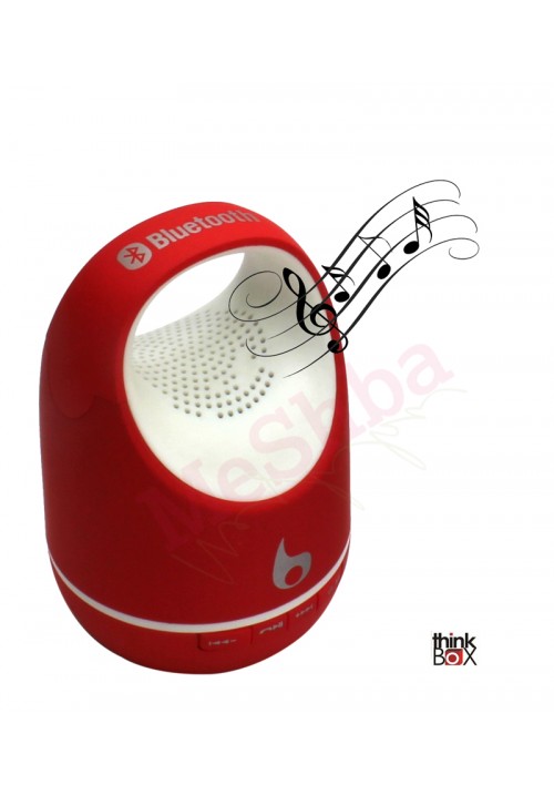 Portable BLUETOOTH Speakers with Microphone